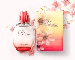 blossom