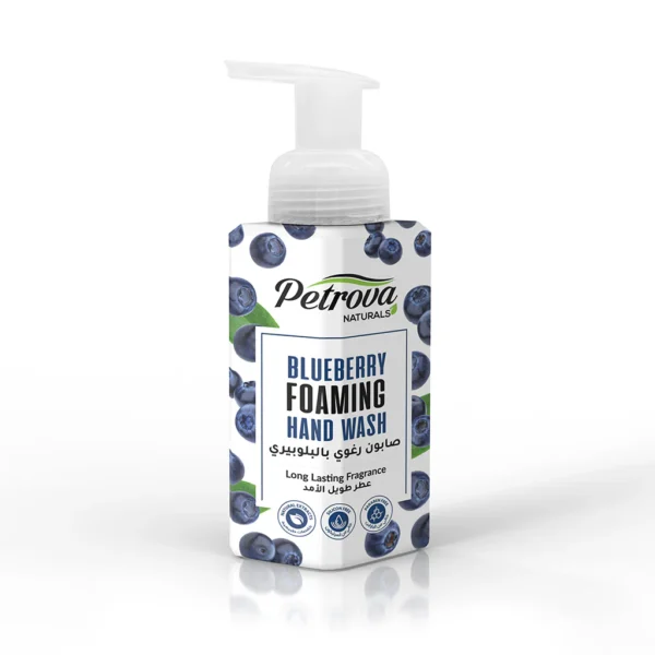 blueberry foaming hand wash